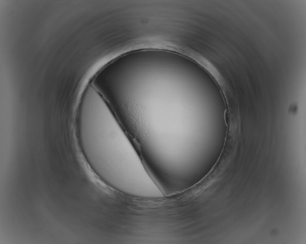 X0000093401144200710120850