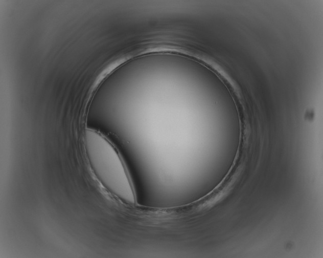 X0000093401145200710120850