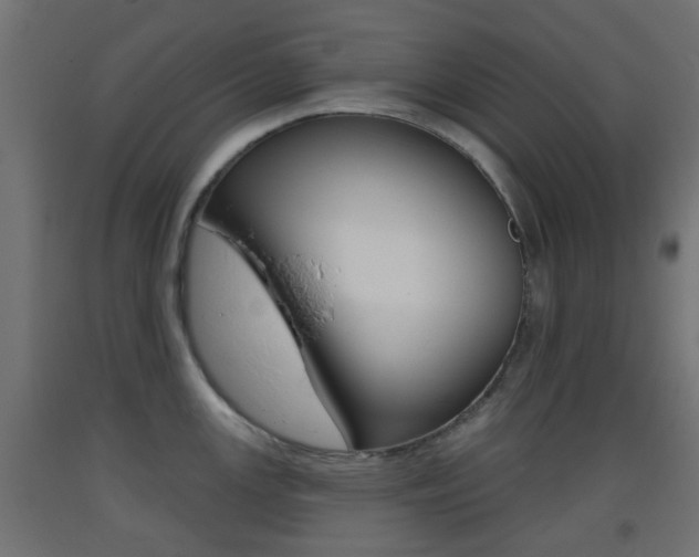 X0000093401147200710120850