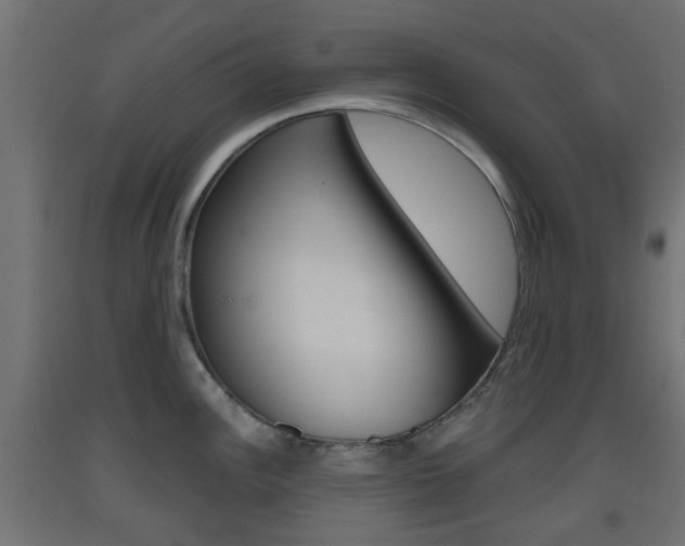 X0000093401148200710120850