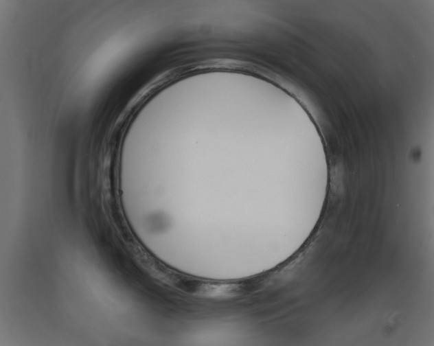 X0000093401150200710120850