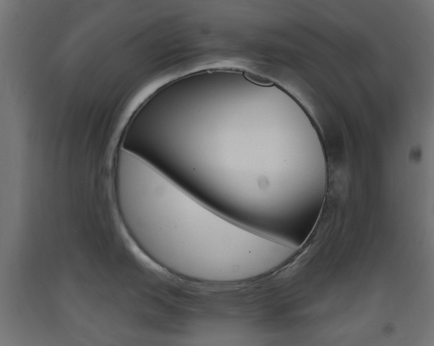 X0000093401151200710120850