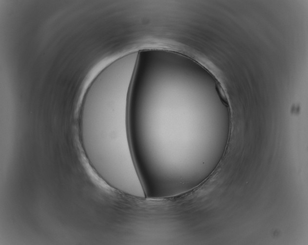 X0000093401152200710120850