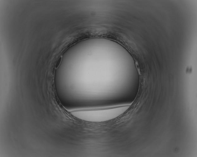 X0000093401153200710120849