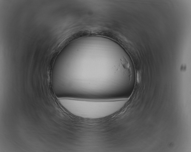 X0000093401155200710120849
