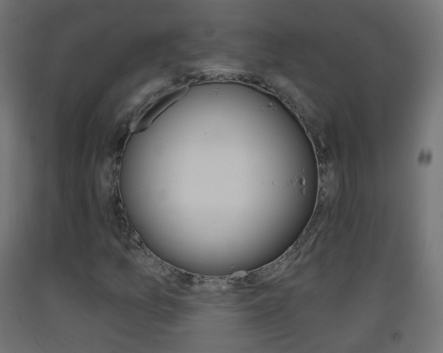 X0000093401157200710120849