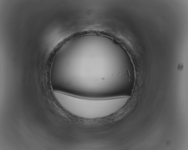 X0000093401159200710120849