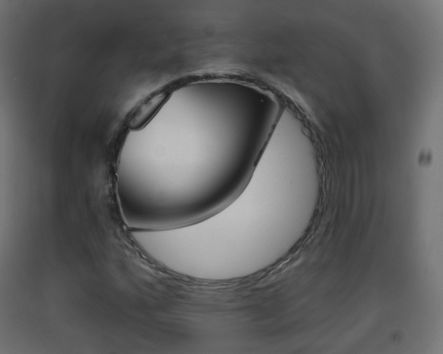 X0000093401160200710120849