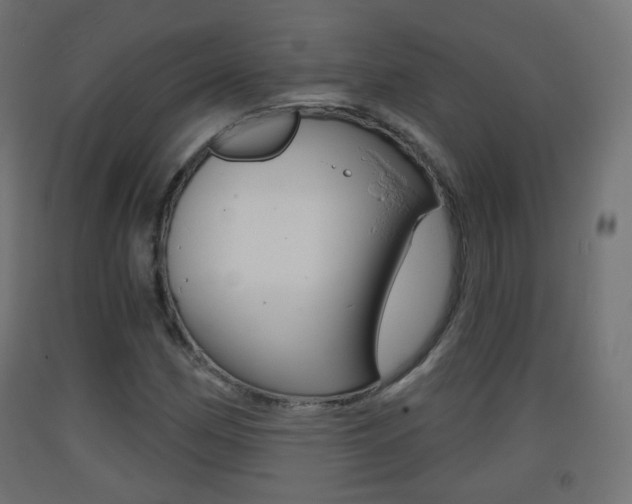 X0000093401162200710120849