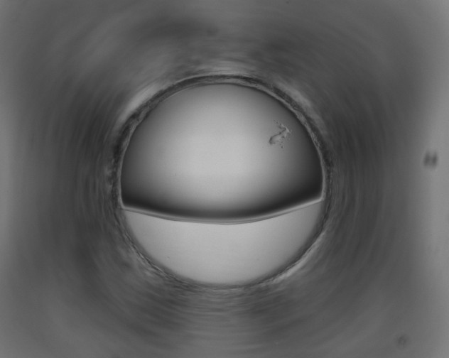 X0000093401163200710120849