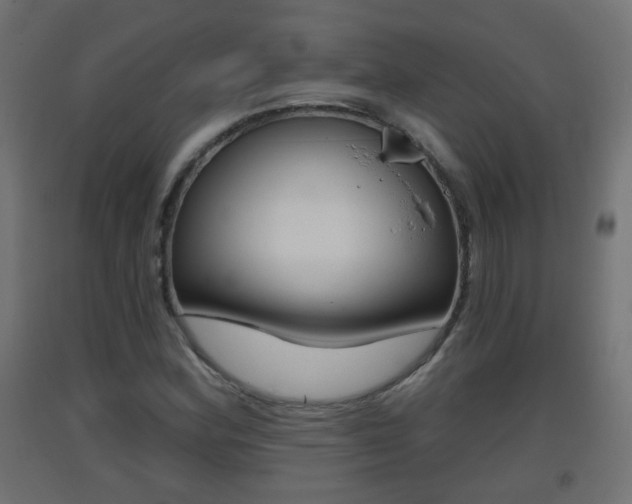 X0000093401164200710120849