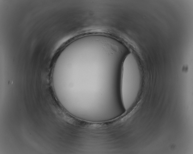 X0000093401166200710120849