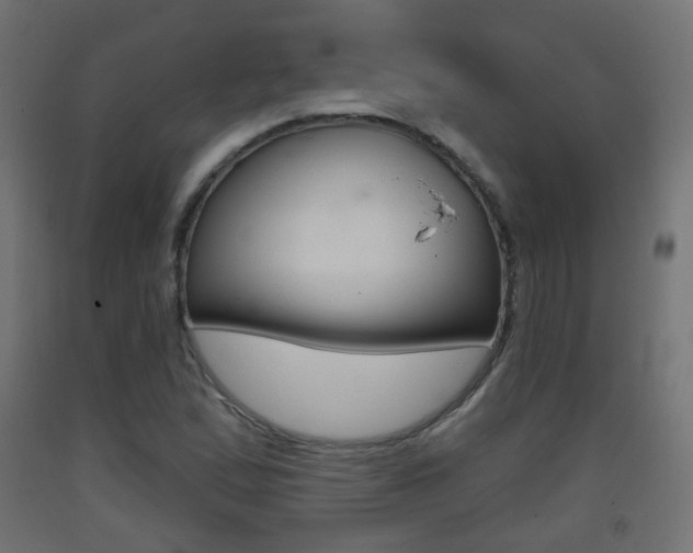 X0000093401167200710120849