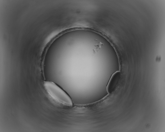 X0000093401168200710120849