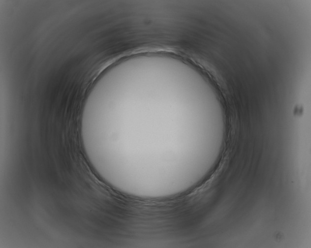 X0000093401169200710120849