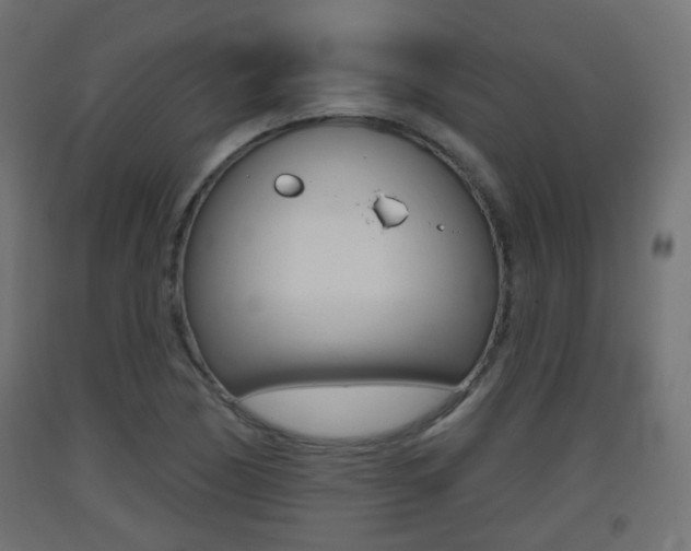 X0000093401170200710120849