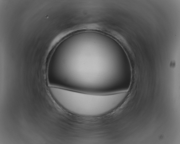 X0000093401176200710120849
