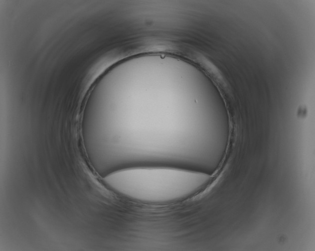 X0000093401178200710120849