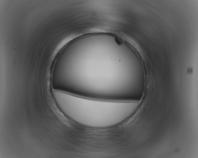 X0000093401179200710120849