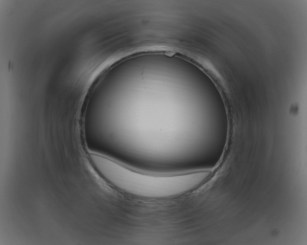 X0000093401181200710120849