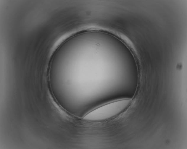 X0000093401183200710120849