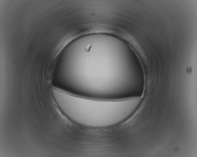 X0000093401185200710120849