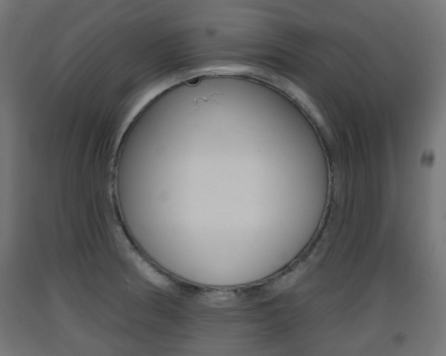 X0000093401186200710120849
