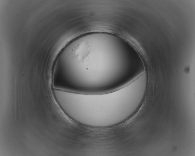 X0000093401188200710120849