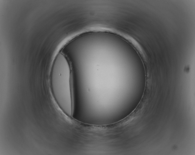 X0000093401191200710120849