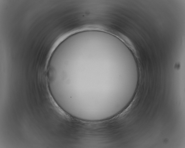X0000093401192200710120849