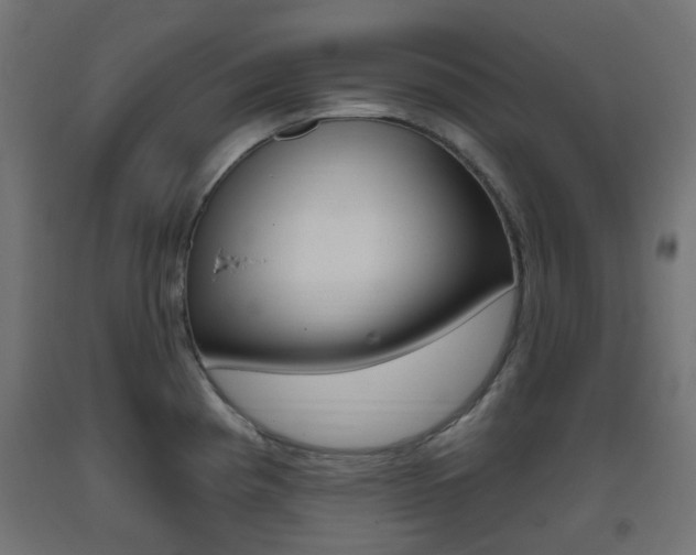X0000093401193200710120849