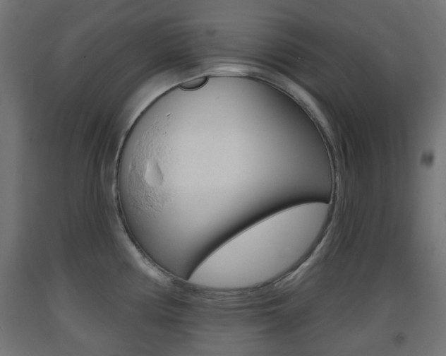 X0000093401194200710120849