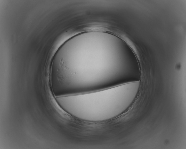 X0000093401195200710120849