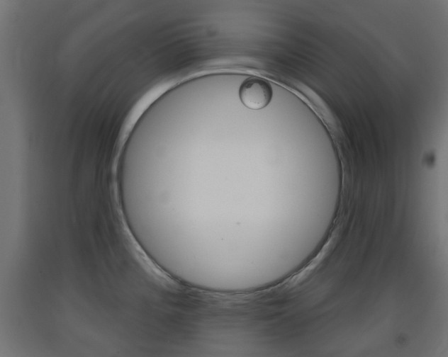 X0000093401196200710120849