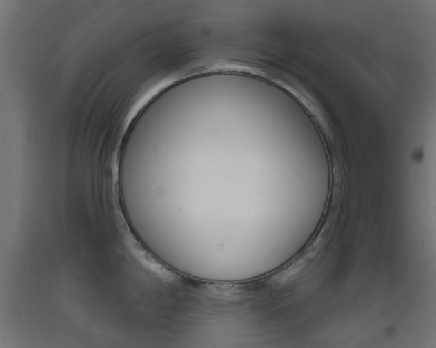 X0000093401198200710120849