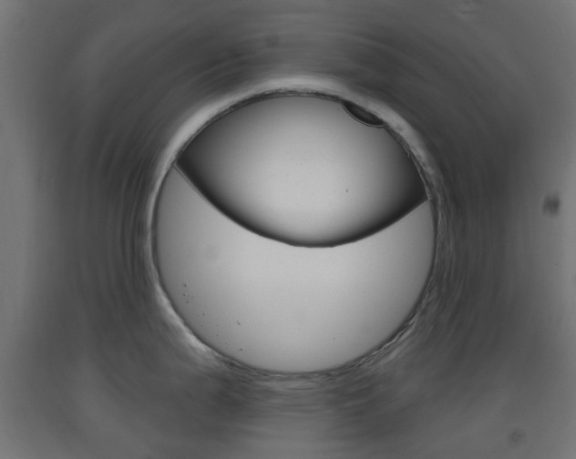 X0000093401199200710120849