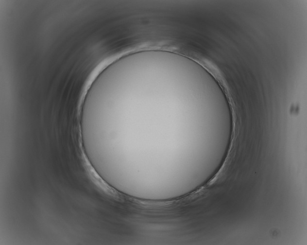 X0000093401200200710120849