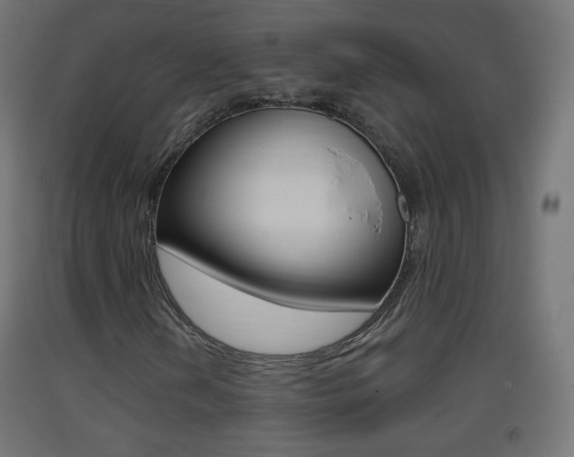 X0000093401202200710120848