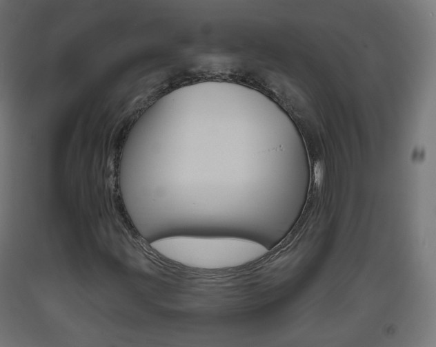 X0000093401203200710120848