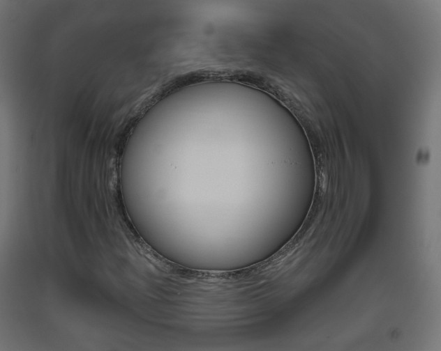 X0000093401204200710120848