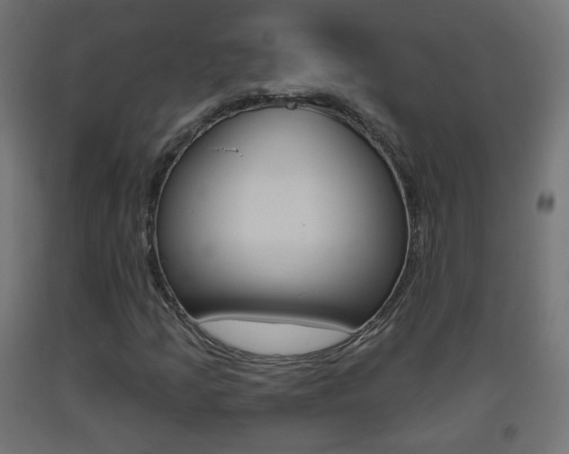 X0000093401205200710120848