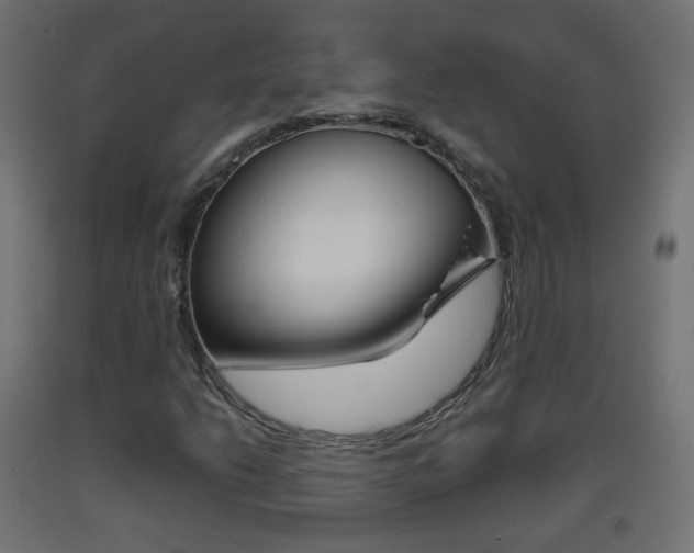 X0000093401206200710120848