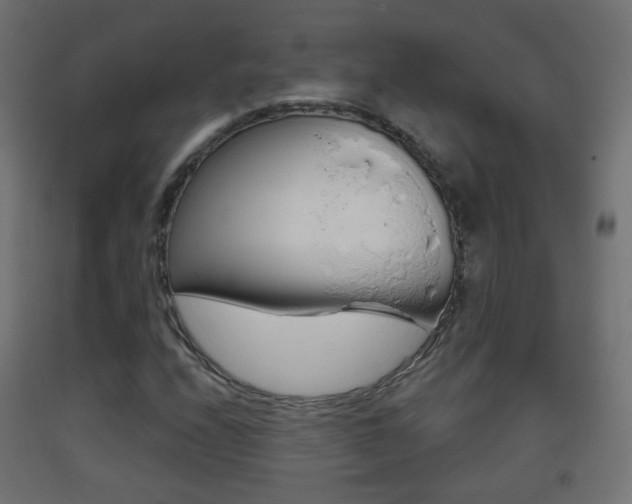 X0000093401208200710120848