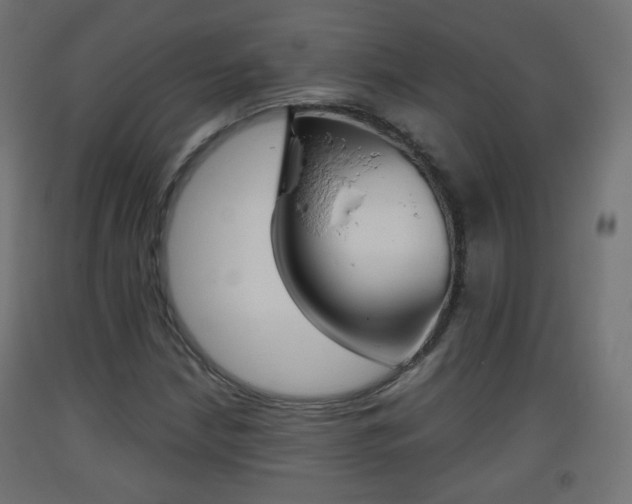 X0000093401210200710120848