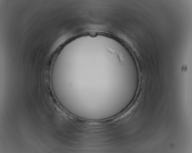 X0000093401211200710120848