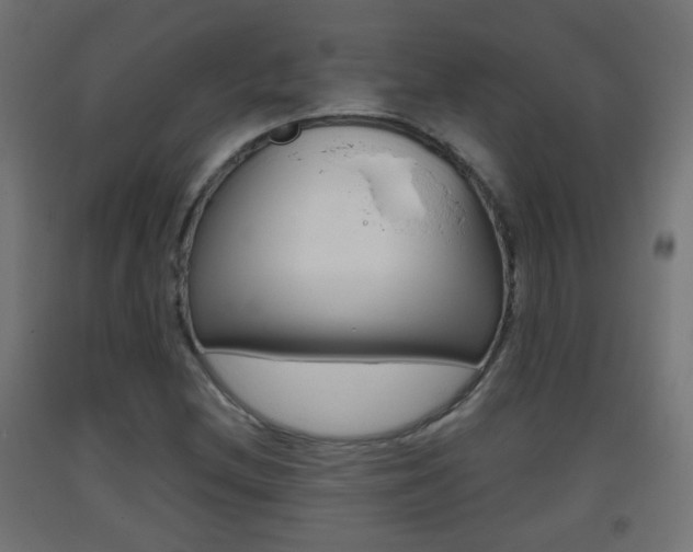 X0000093401212200710120848