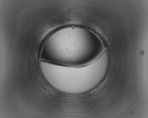X0000093401214200710120848