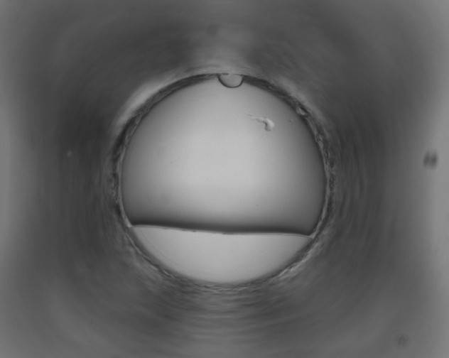 X0000093401215200710120848