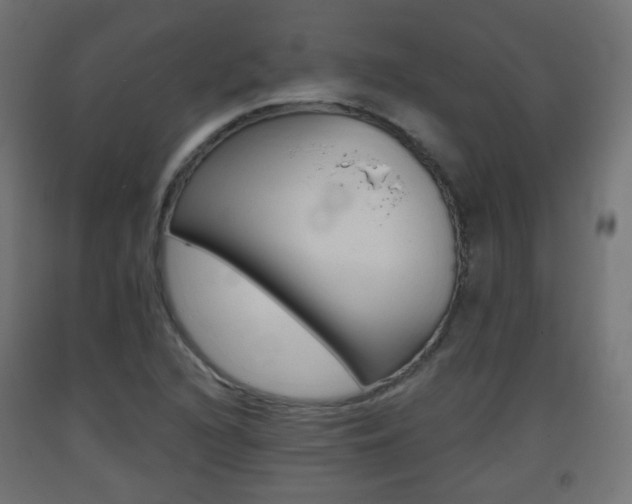 X0000093401216200710120849