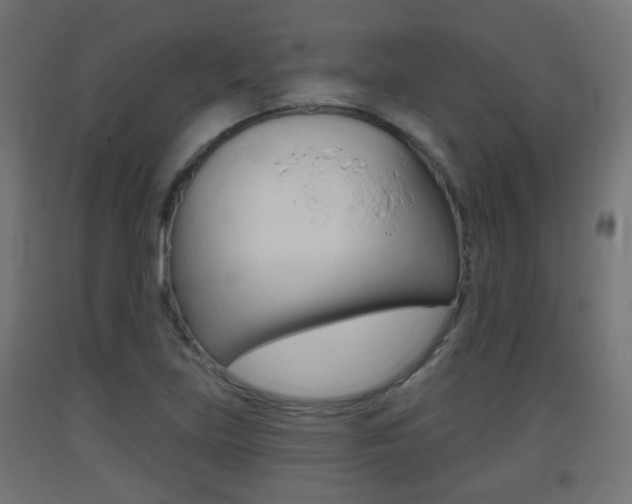 X0000093401219200710120849